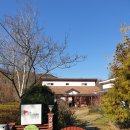 독립주택 | 괴산 숲속의 작은 책방 후기 | 전원주택단지 속 숨은 독립서점