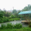 구수리 낚시터 이미지