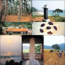 경북 / 울진 / [르포라이터 민병준의 향토기행] 경상북도 울진