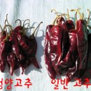 고추의 효능과 매운맛의 단위!! 이미지