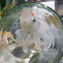 유리아빠 이미지