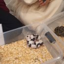 카페 마리 이미지