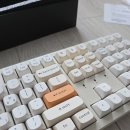 11650-5-57-38 | 키크론 저소음 기계식키보드 내돈내산 후기 포토샵 매크로 타건감 리뷰