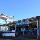 (주)삼다도횟집 | 제주 벵에돔 회 기가막혔던 벵어돔 제주 횟집 추천
