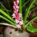 길상초등학교 이미지