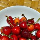 봉산농장 이미지