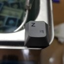 폴리덴탈 이미지