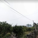 위미2리 마을회관 이미지