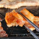 동호민박 | [전북/고창] '동호해넘이민박식당' 애견동반 가능한 맛집+숙소