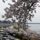 하리생활문화관 | 강릉팔경