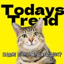 [오늘의 트렌드]2024년 개봉한 리메이크 영화 &#39;히든 페이스&#39;: 인물, 줄거리, 결말(스포 주의!!)