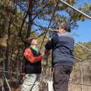 수림꽃농원 이미지