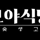성남대로997번길 이미지