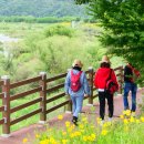 물멍물멍 이미지