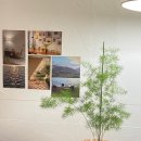 UR(의정부시)-[신흥로208번길]-상-4 | 플랜테리어의 시작은 실내 식물 화분 놓기! 의정부역 근처 꽃집 카페 브라운 베이지 스튜디오 플라워 추천