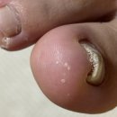 레푸스 망우점 이미지