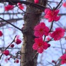 송학행정사사무소 이미지