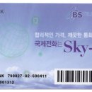 저렴한 요금으로 국내통화,국제통화는 물론 파격가격의 해외로밍까지 "SKY-T" 가 답입니다. 이미지