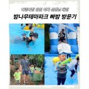 큰나무어린이집 | 남양주 밤나무테마파크 빠밤 물놀이 후기｜아빠 선생님과 함께한 어린이집 체험