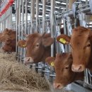 주식회사 건승 이미지