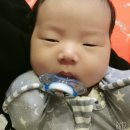 코~오자자