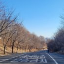 마포, 걷고싶은길 9코스 이미지