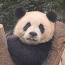 오토블링 부산점 | 12월