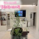 더바디에스테틱 | 광주에스테틱 바디더조각 등관리 후기 화정동 필인스킨 에스테틱