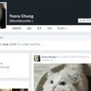나는 고양이(소규모) 이미지
