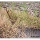 물의합창 이미지