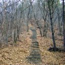 대전둘레산길 이미지