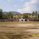 대덕중학교증산분교장 Daum카페
