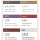 고수림 | 선물세트 명절선물 전통차 티백 고급포장 고수림