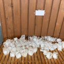 솔빛유치원 이미지