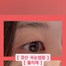 블리채 네이버블로그