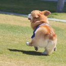 와이키키짐 이미지