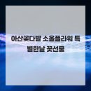 진솔플라워