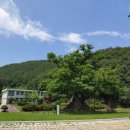 규남박물관 이미지