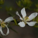 강과바다의 탑 이미지