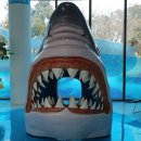 제주해양동물박물관 이미지