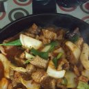 조촐이 Daum카페