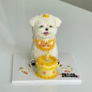 이야케이크