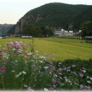 축제(서양화) 이미지