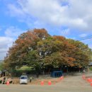 어은정 | 순창군 - 고려직제학양수생처열부지려, 구암정, 석산리 마애여래좌상, 어은정