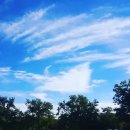 정석행정사 사무소 이미지