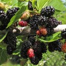 체육문화센터진입로1 이미지