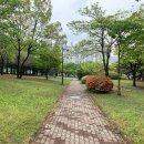 한뫼공원 이미지