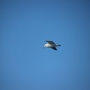 전곡항 공원 이미지