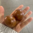 길동만두집 | 그저 복사꽃 핀 거릴 걷자