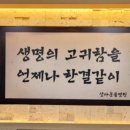 상아 동물메디컬 이미지